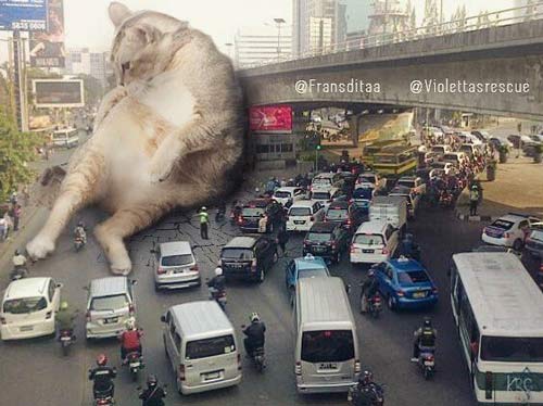 堵车