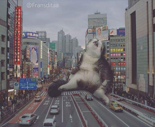 摊着