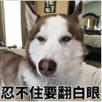 白眼