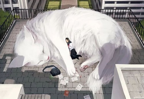 猫咪