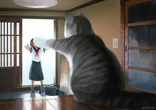 猫咪