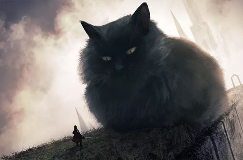 猫咪