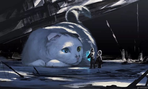 猫咪