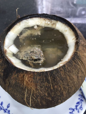 食物
