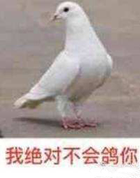 表情包