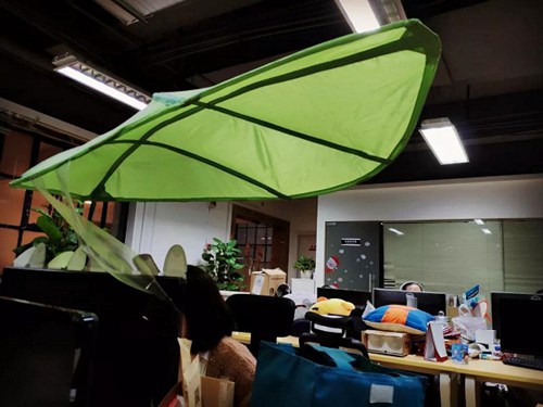 咔叽探险队