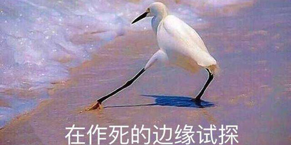 学长学姐军训作死 如愿以偿加入大一军训
