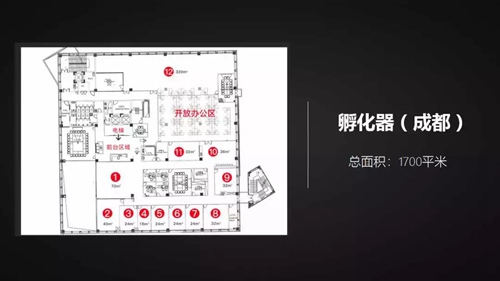游茶会