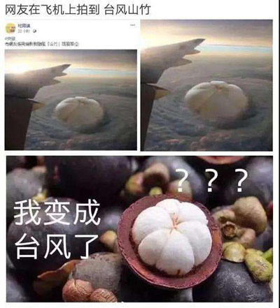 台风