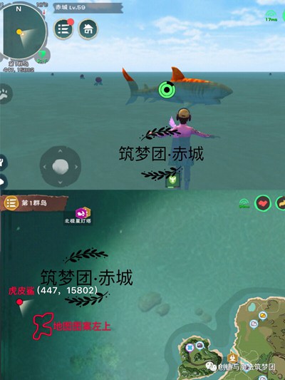 创造与魔法虎皮鲨在哪里 虎皮鲨饲料配方