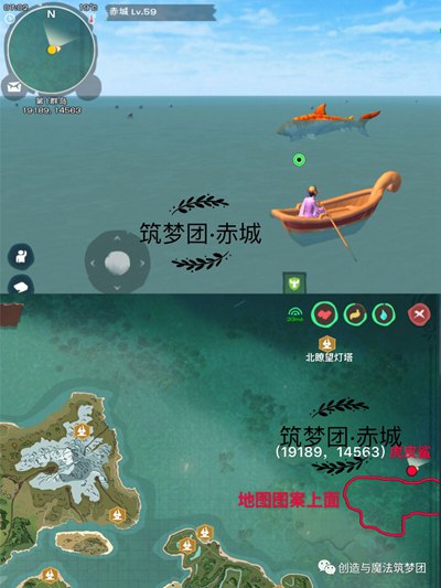 创造与魔法虎皮鲨在哪里 虎皮鲨饲料配方