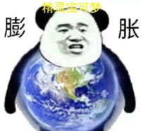 精灵宝可梦