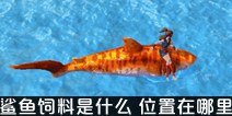 创造与魔法鲨鱼饲料怎么做 鲨鱼位置
