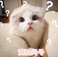 什么女团？
