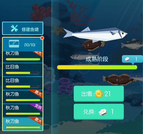 贝比岛