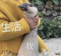 生活好难