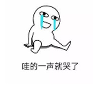 哭了