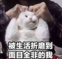 刀剑神域