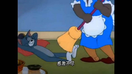 猫和老鼠