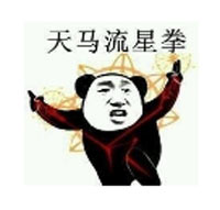 天马流星拳