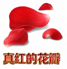 FGO真红的花瓣