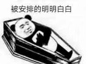 安排上了