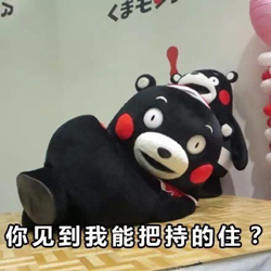 熊本熊