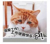工作