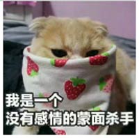 任务