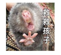 竹鼠