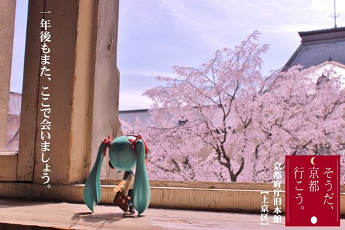 手办摄影