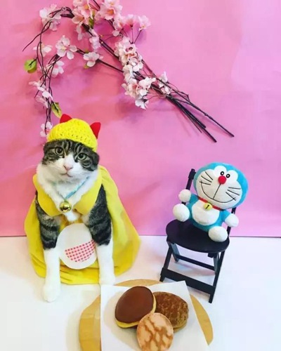 机器猫