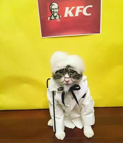 肯德基