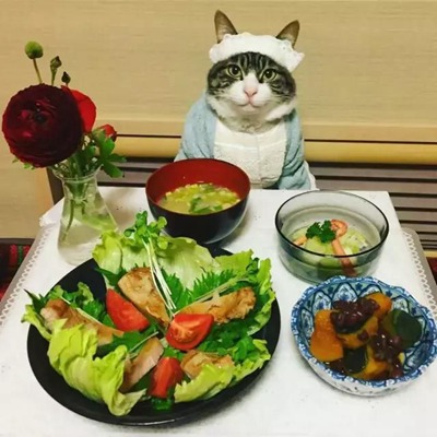 喵星人