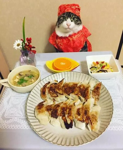 特色