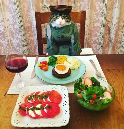 食物