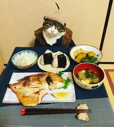 乖巧
