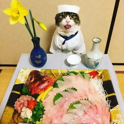 生鱼片