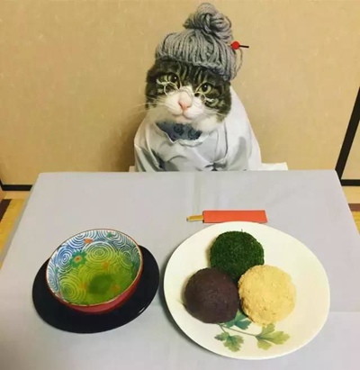 温顺