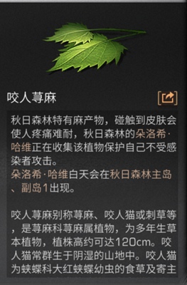 明日之后