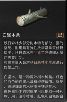 明日之后