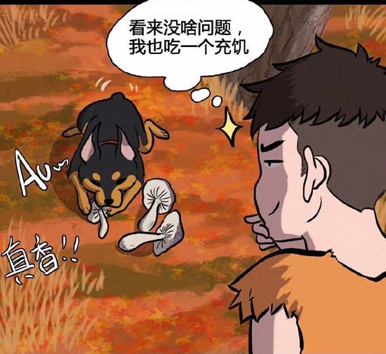 明日之后图片