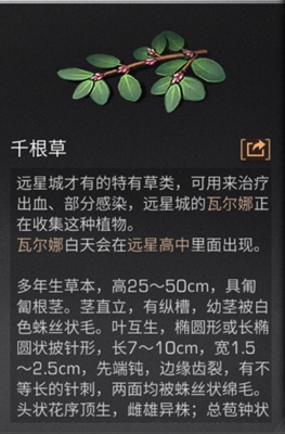 明日之后