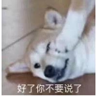 不要说