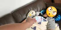 熊孩子太皮怎么办 关于人脸识别腾讯有话说