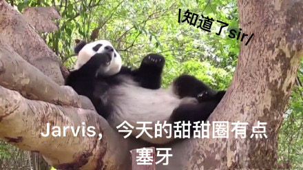塞牙