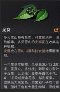 明日之后