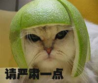 严肃