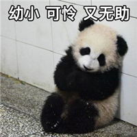 表情包2