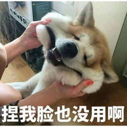 没用